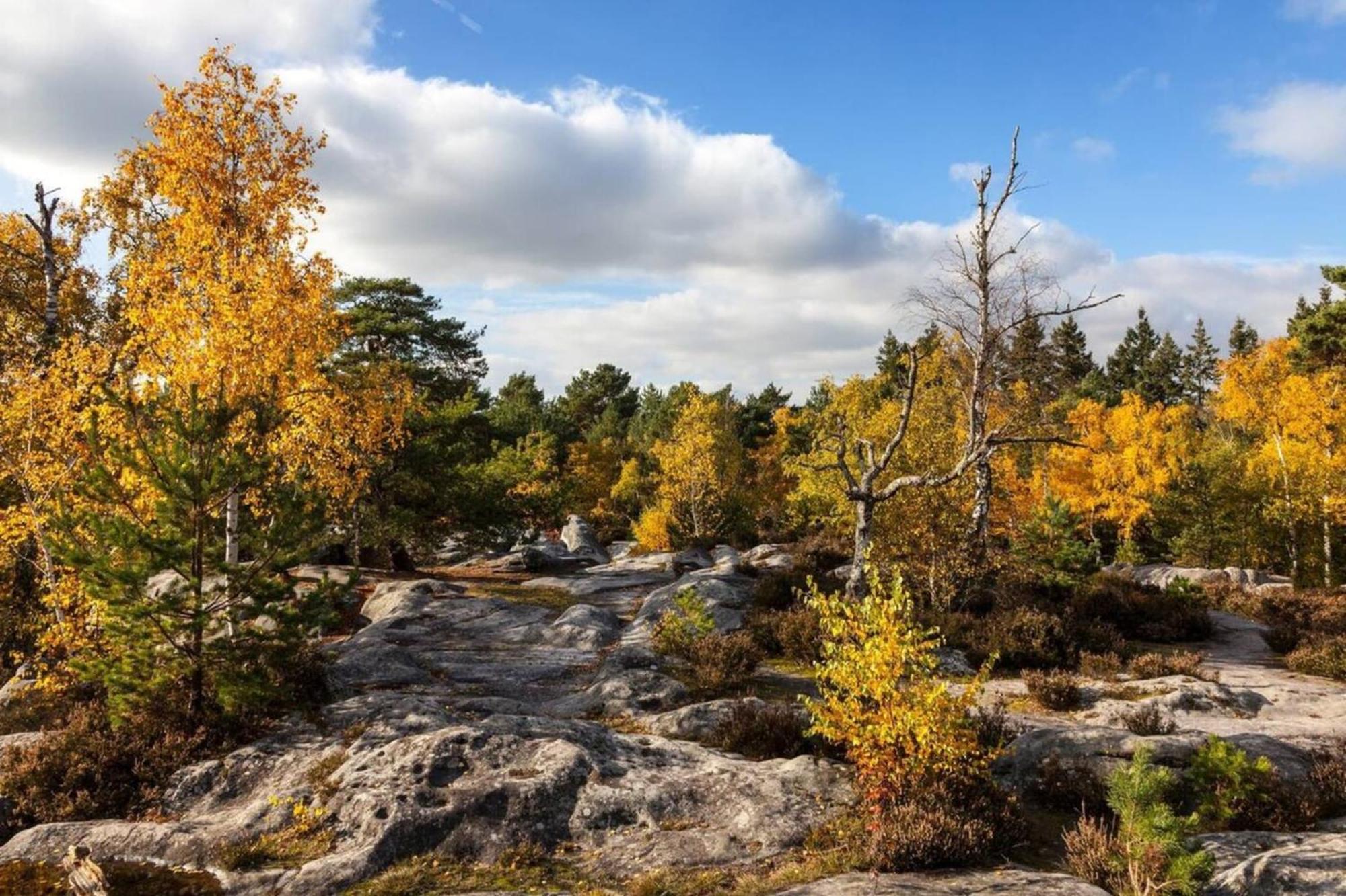 Fontainebleau - Chez Julien Daire Dış mekan fotoğraf